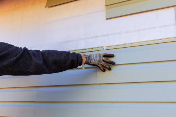 Best Vinyl Siding Installation  in University, FL